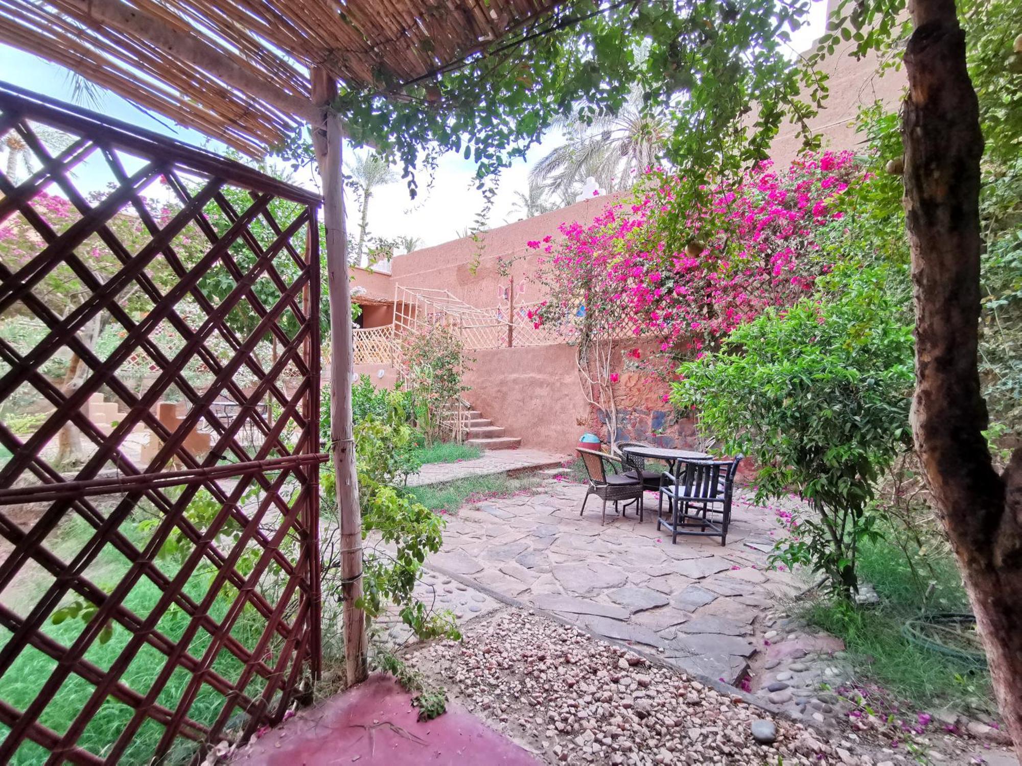 Riad Dar Zaouia Загора Екстериор снимка