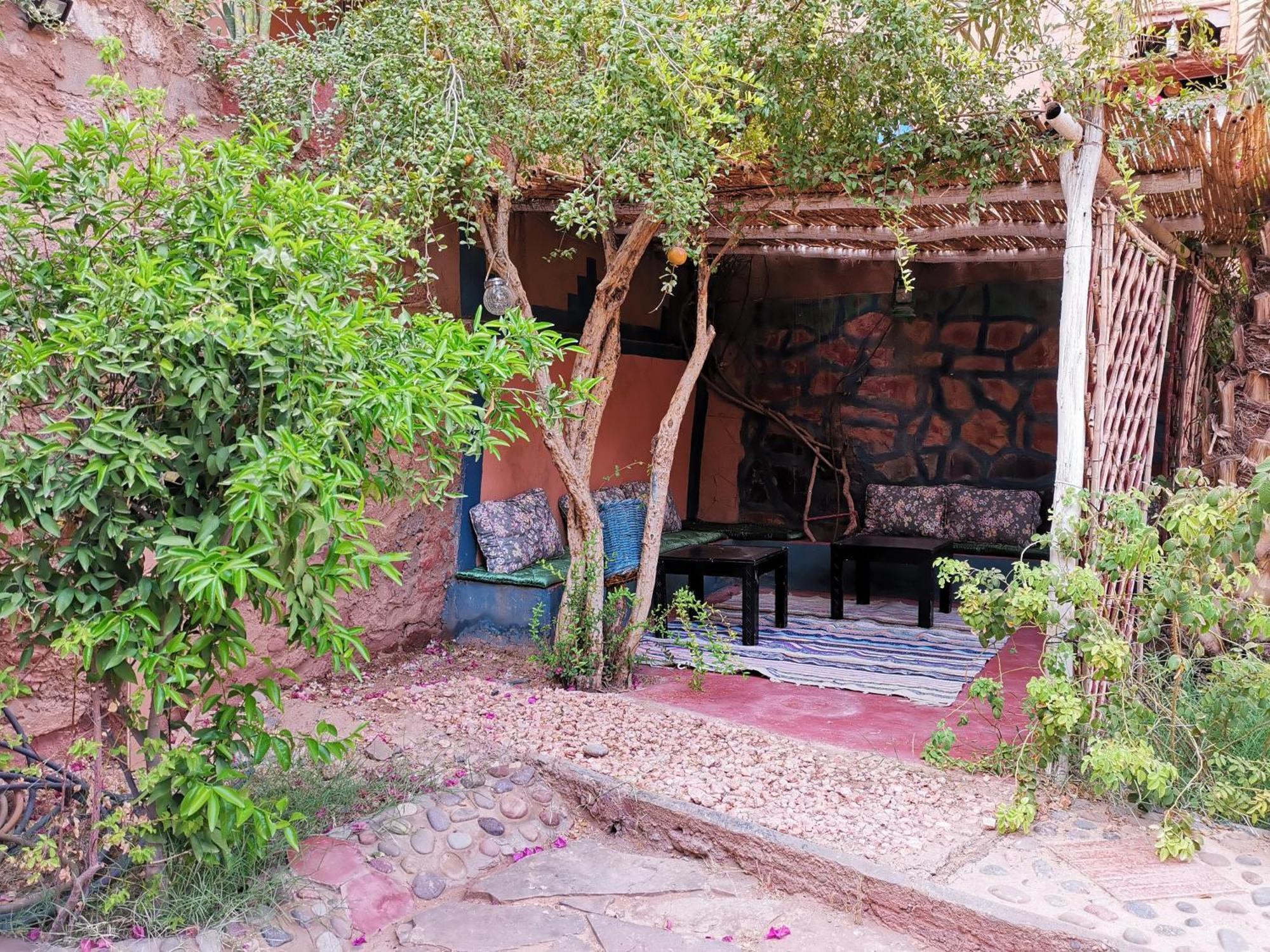 Riad Dar Zaouia Загора Екстериор снимка